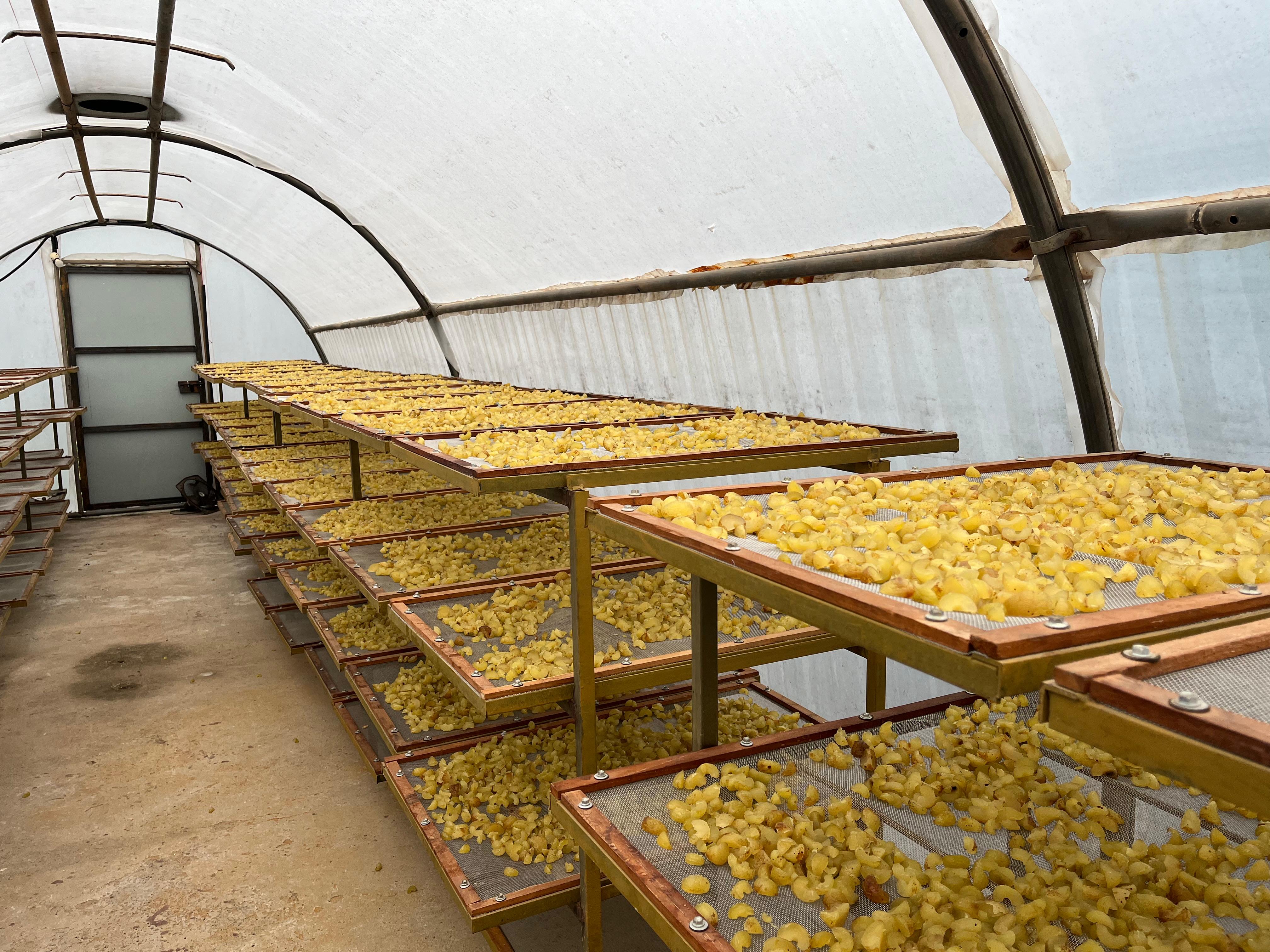 Amla Candy Image - Jupiter Agro Foods